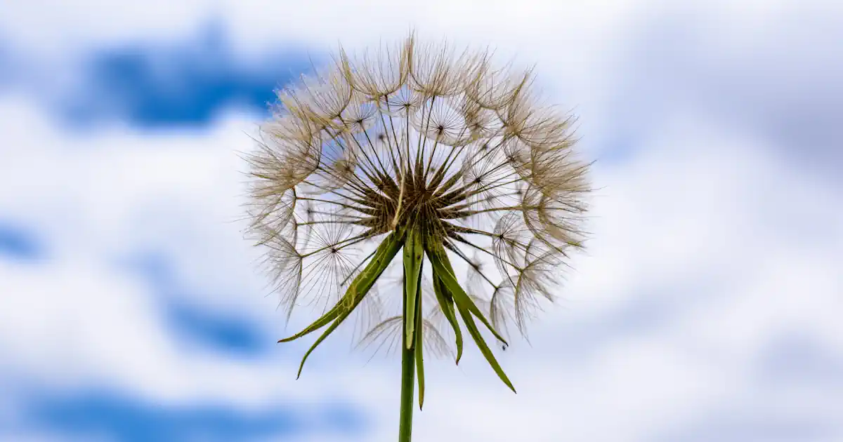 Kein Wind - Wind Stilling