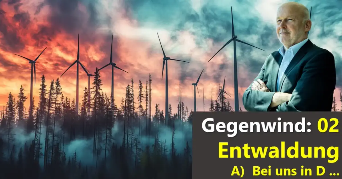 Prof. Schulte Gegenwind Windkraft im Wald Teil 2