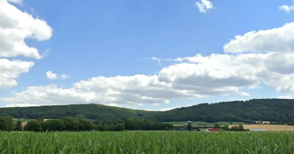 Rodenberg Deisterhang