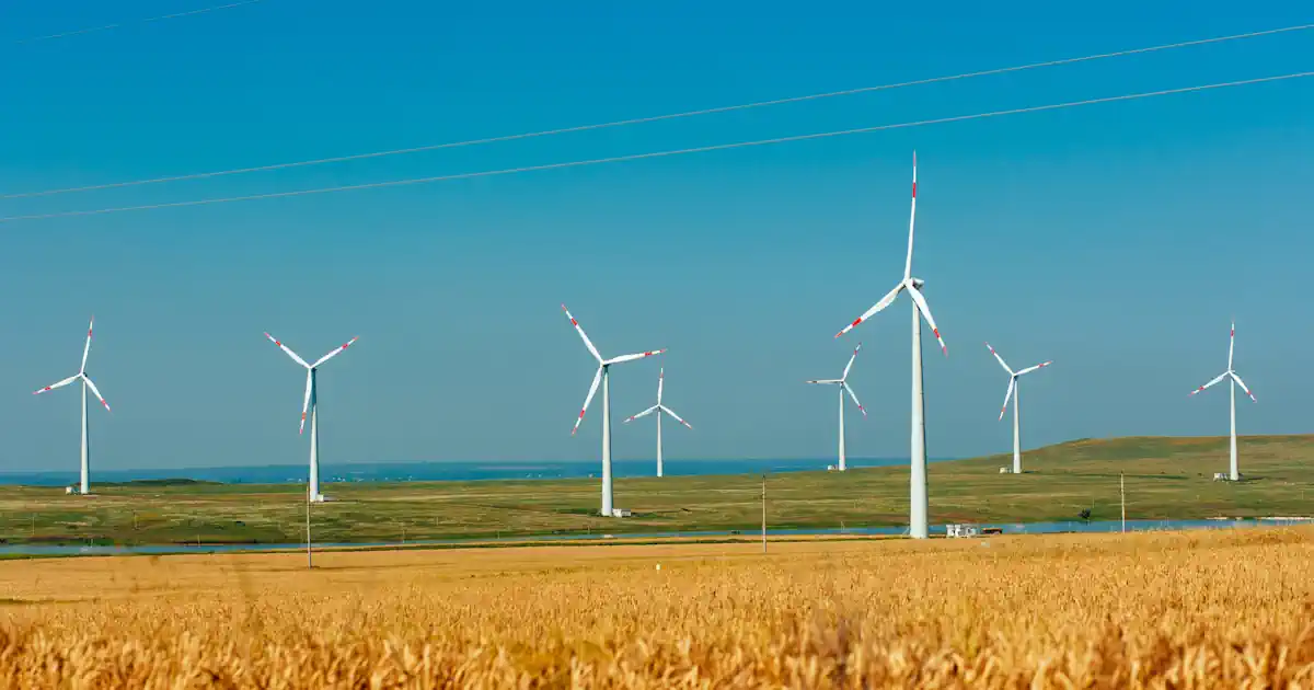 Windpark - Feld - blauer Himmel