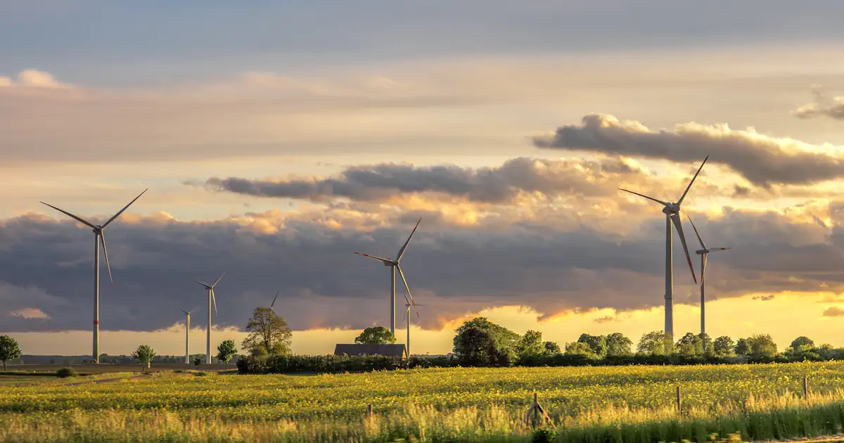 Windpark und Abendhimmel