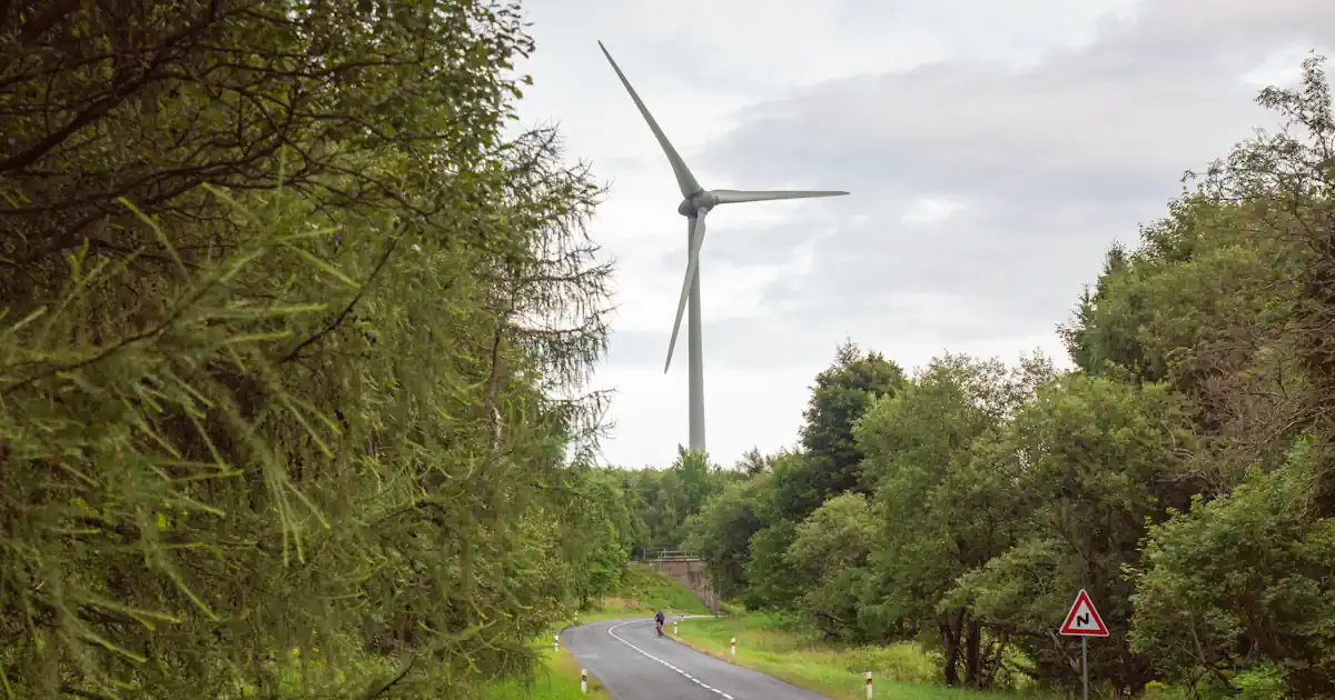 Windrad im Wald mit Straße