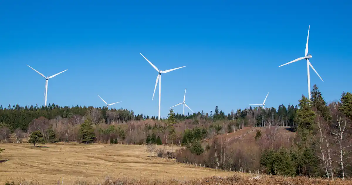 Windräder im Wald