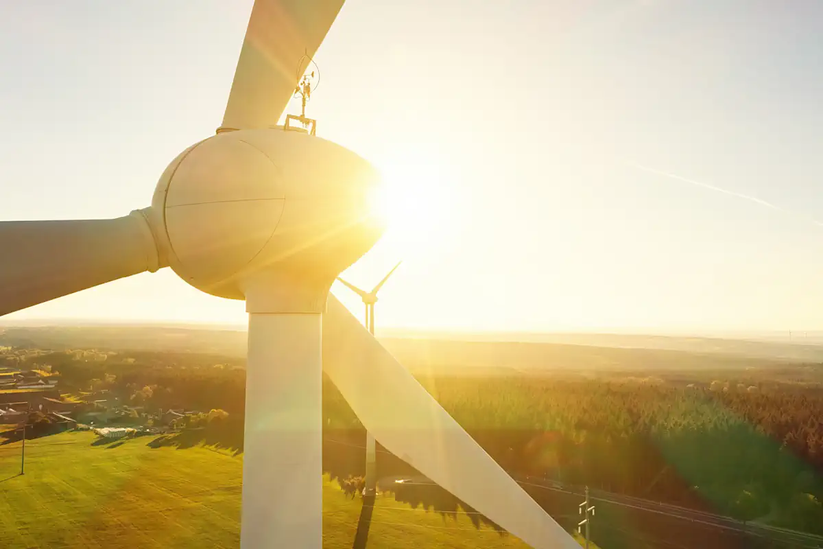 Windstill: Windpark bei Sonnenuntergang vorm Wald