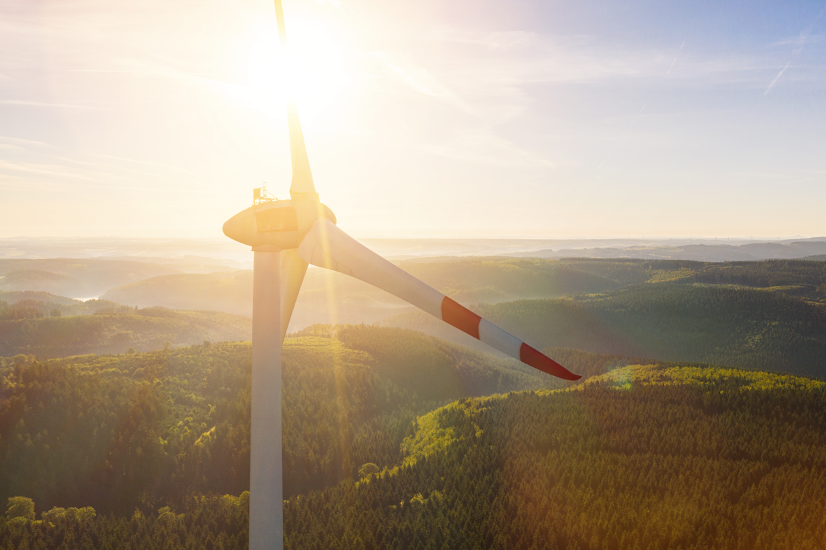 Windstill: Windrad im Wald